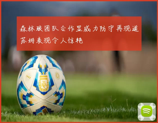 森林狼团队合作显威力防守再现道苏姆表现令人惊艳