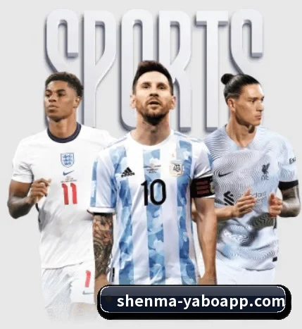 五大服务分区,信息按项目分类
